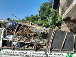 Best Property Management Cleanouts  in North Bellmore, NY